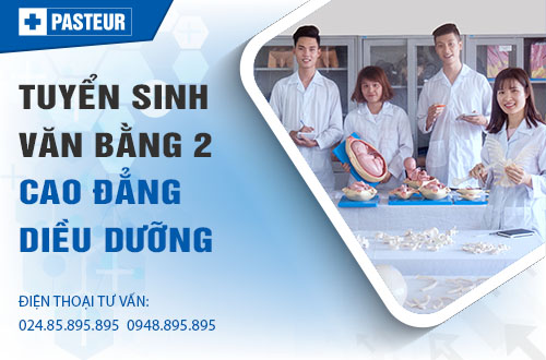 Đào tạo Văn bằng 2 Cao đẳng Điều dưỡng chuyên nghiệp tại Hà Nội