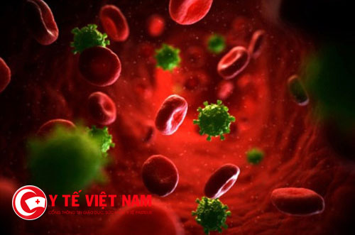 Loại bỏ được virut HIV trong tế bào người mang bước đột phá